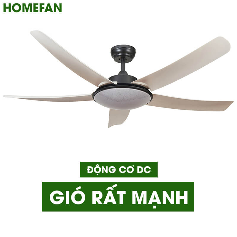 Quạt trần đèn hiện đại - HL-FAN802T