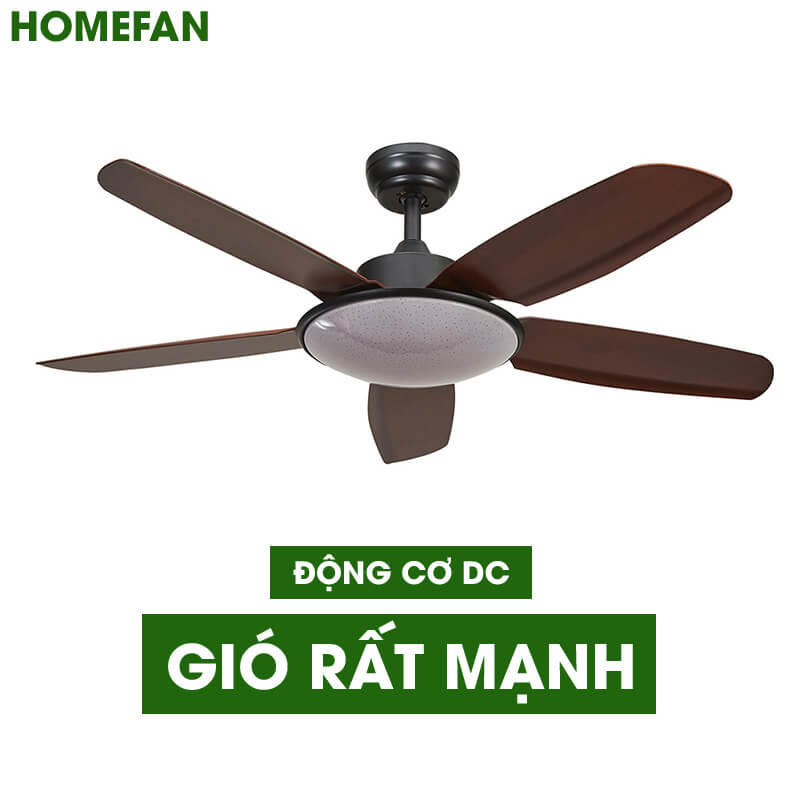 Quạt trần gắn đèn trang trí - HL-FAN699